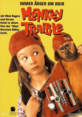 Un ladrón de cuatro manos