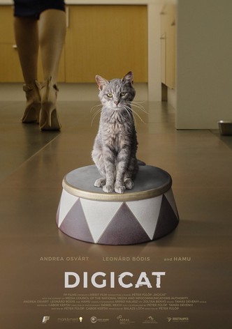 Digicica