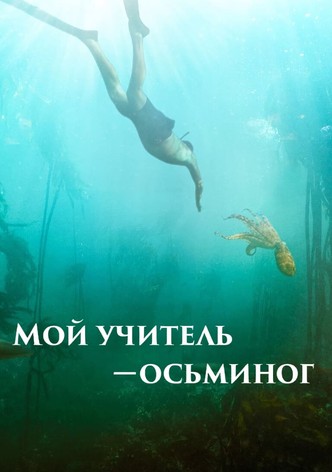 Мой учитель – осьминог