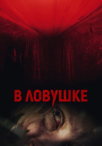 В ловушке