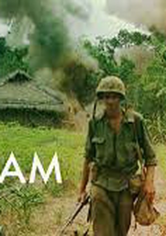 The Vietnam War Collection