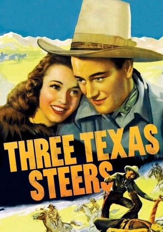 Three Texas Steers