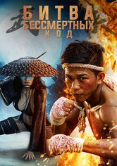 Битва бессмертных. Код