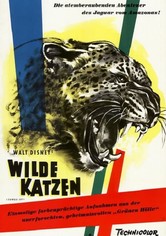 Wilde Katzen
