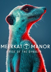 Meerkat Manor: Rise of the Dynasty