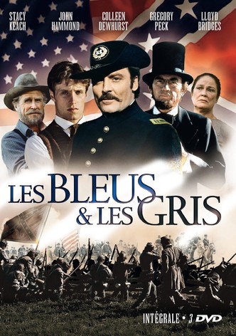 Les Bleus et les Gris