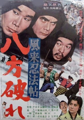 風来忍法帖　八方破れ