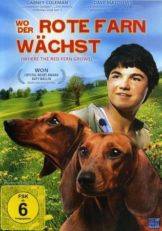 Wo der rote Farn wächst