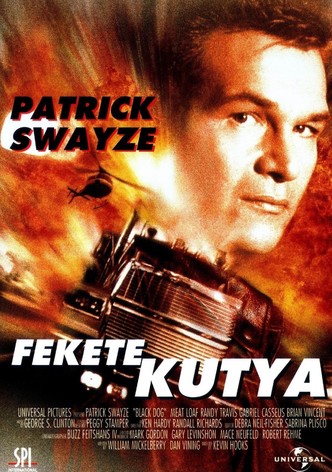 Fekete kutya