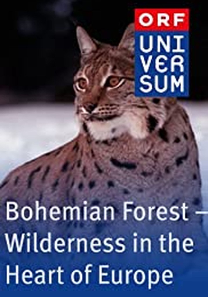 The Bohemian Forest - Wilderness in the Heart of Europe