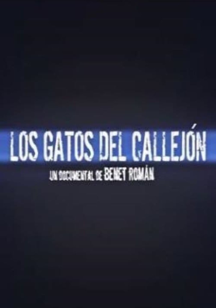 Los gatos del callejón