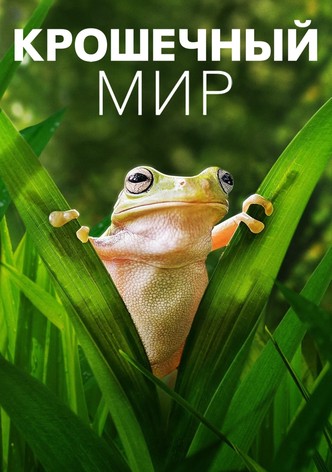 Крошечный мир