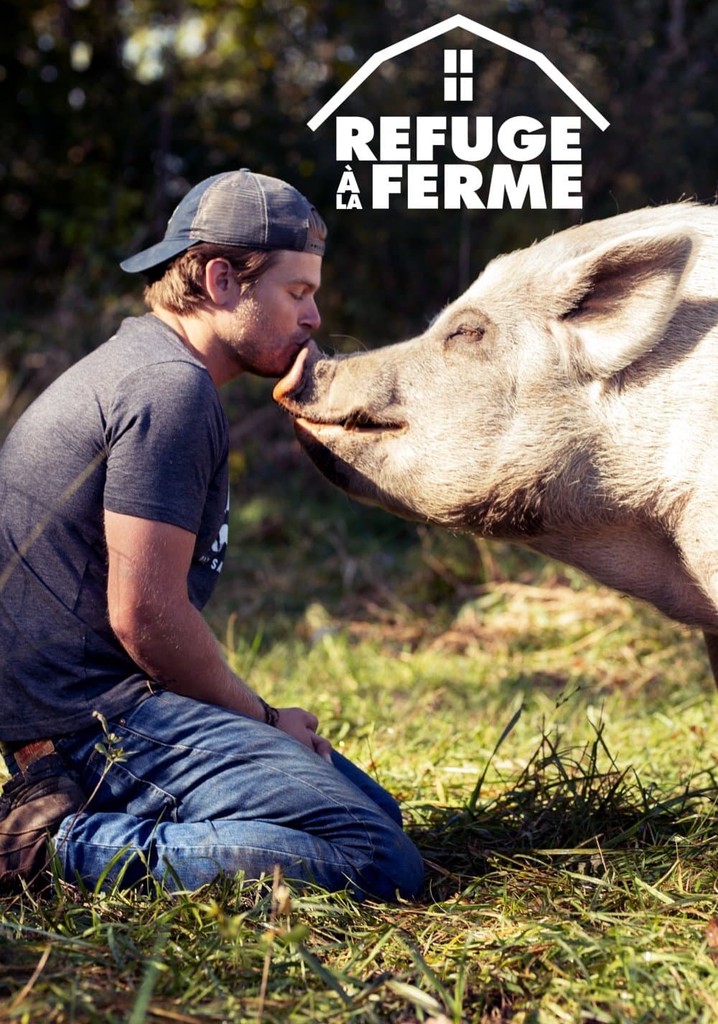 Regarder la s rie saved by the barn streaming