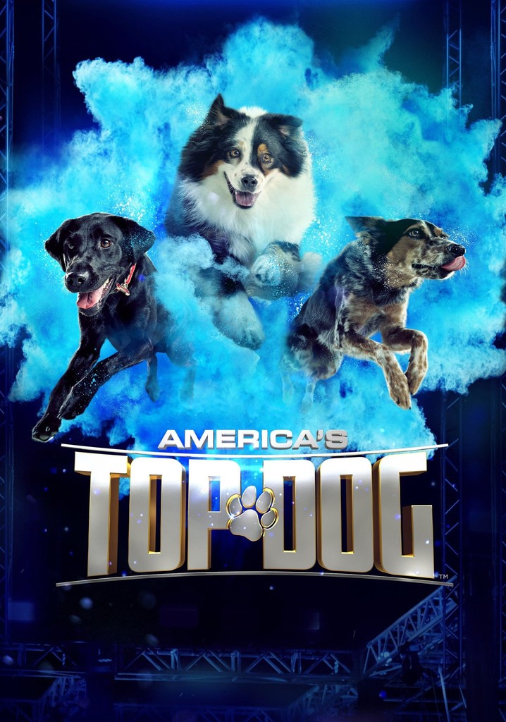 America's Top Dog - guarda la serie in streaming