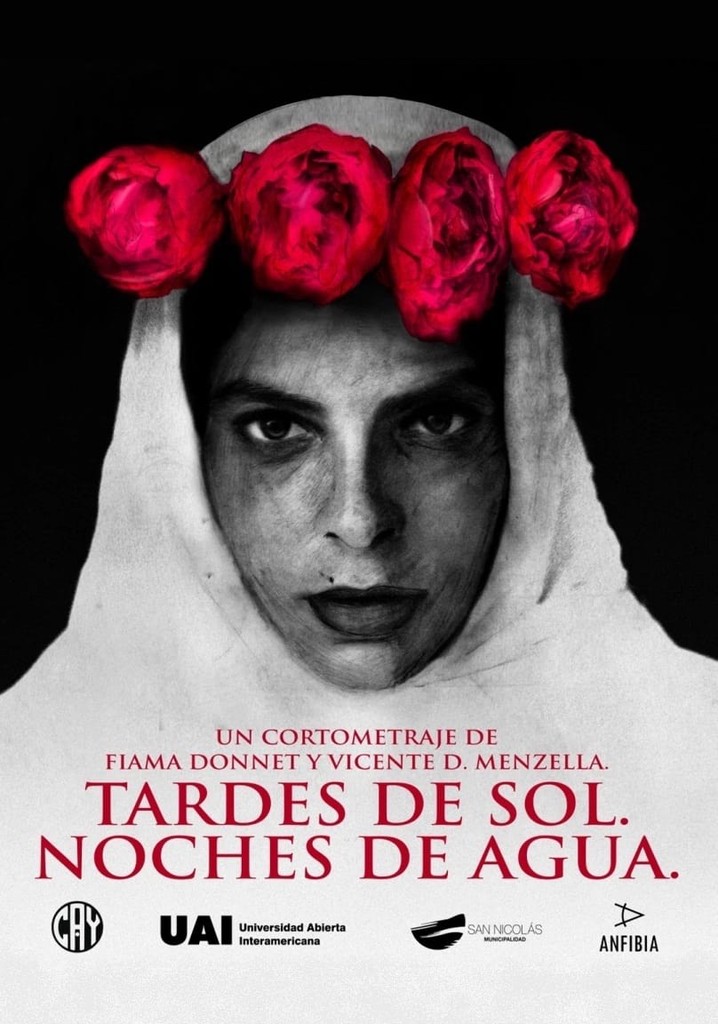 Tardes de sol. Noches de agua.