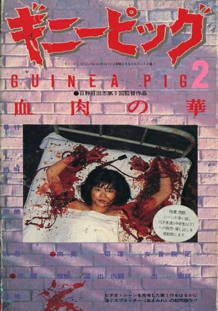 激ヤバ希少作品‼️未DVD『ギニーピッグ2 血肉の華』VHS - 日本映画