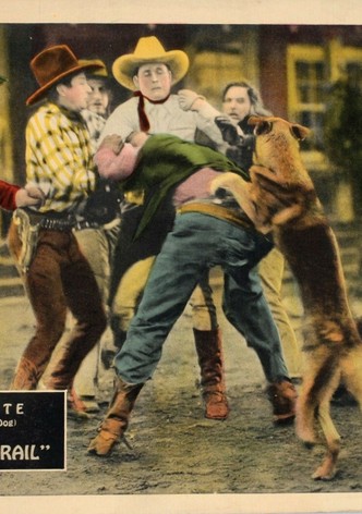 Wolf's Trail