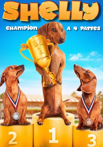 Shelly, champion à 4 pattes