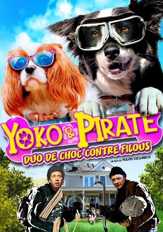 Yoko et Pirate: duo de choc contre filous