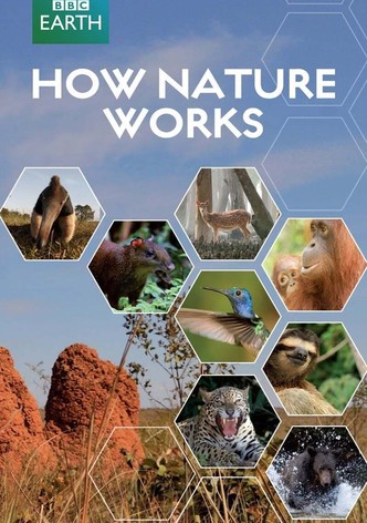 How Nature Works