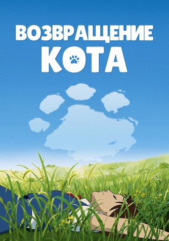 Возвращение кота