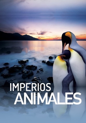Imperios Animales