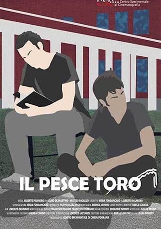 Il pesce toro