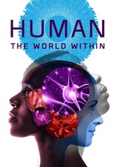 Human: The World Within