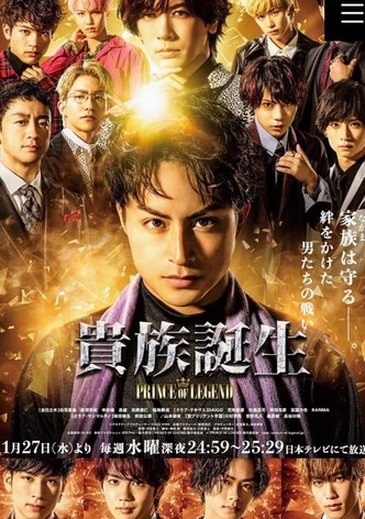 Aristocratic Birth -PRINCE OF LEGEND-