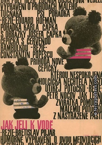 Hey, Mister, Let’s Play! How the Bears Went Swimming