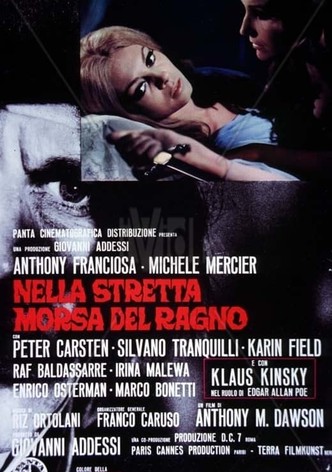 Nella stretta morsa del ragno