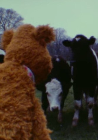 The Muppet Movie Camera Test