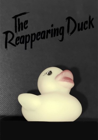 The Reappearing Duck
