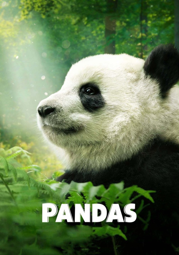Pandas