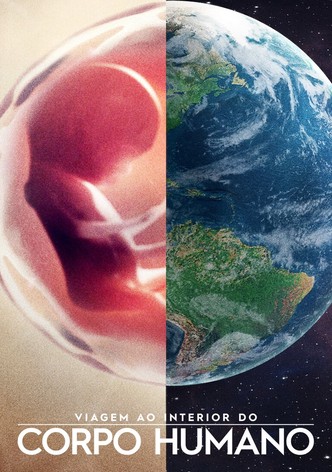 Corpo Humano: Nosso Mundo Interior
