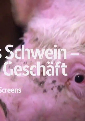 Armes Schwein - Fettes Geschäft