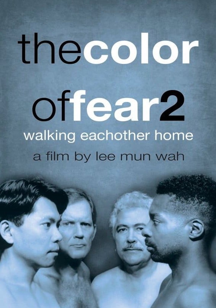 The Color of Fear 2: Walking Each Other Home