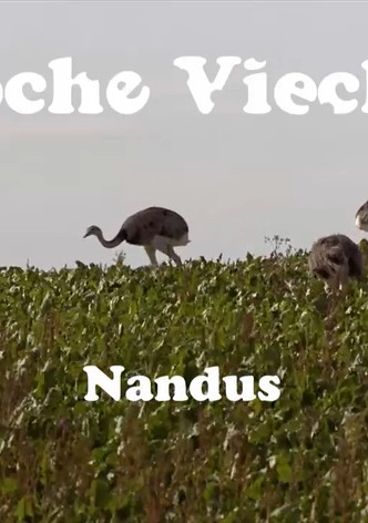 Freche Viecher