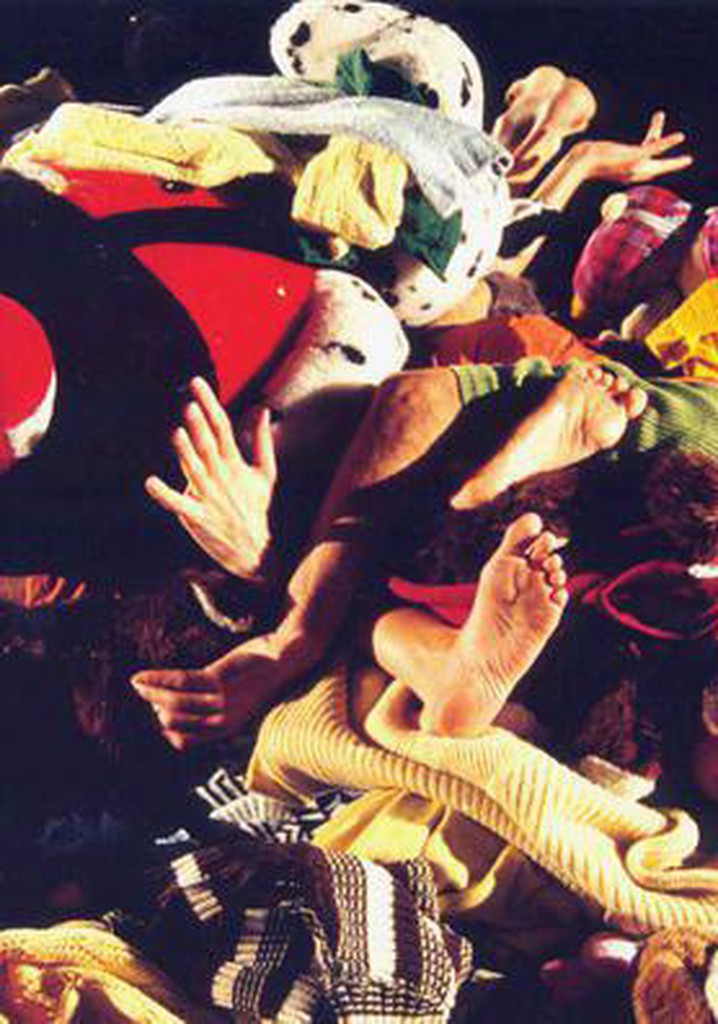 Le bestiaire Pernette