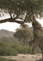 Namibia's Desert Kingdom