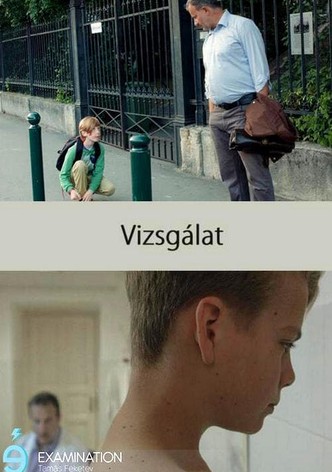 Vizsgálat