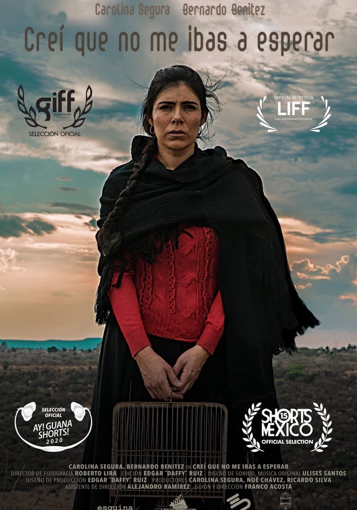 I Thought You Were Not Going to Wait for Me