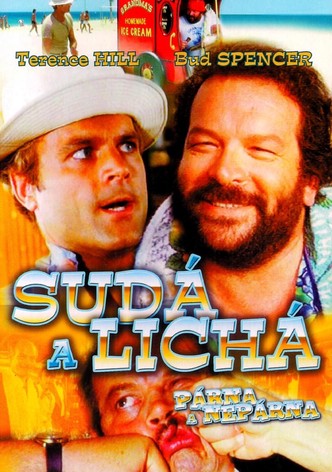 Sudá a lichá