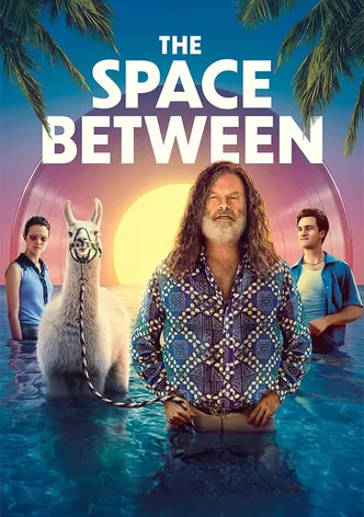 The Space Between poster