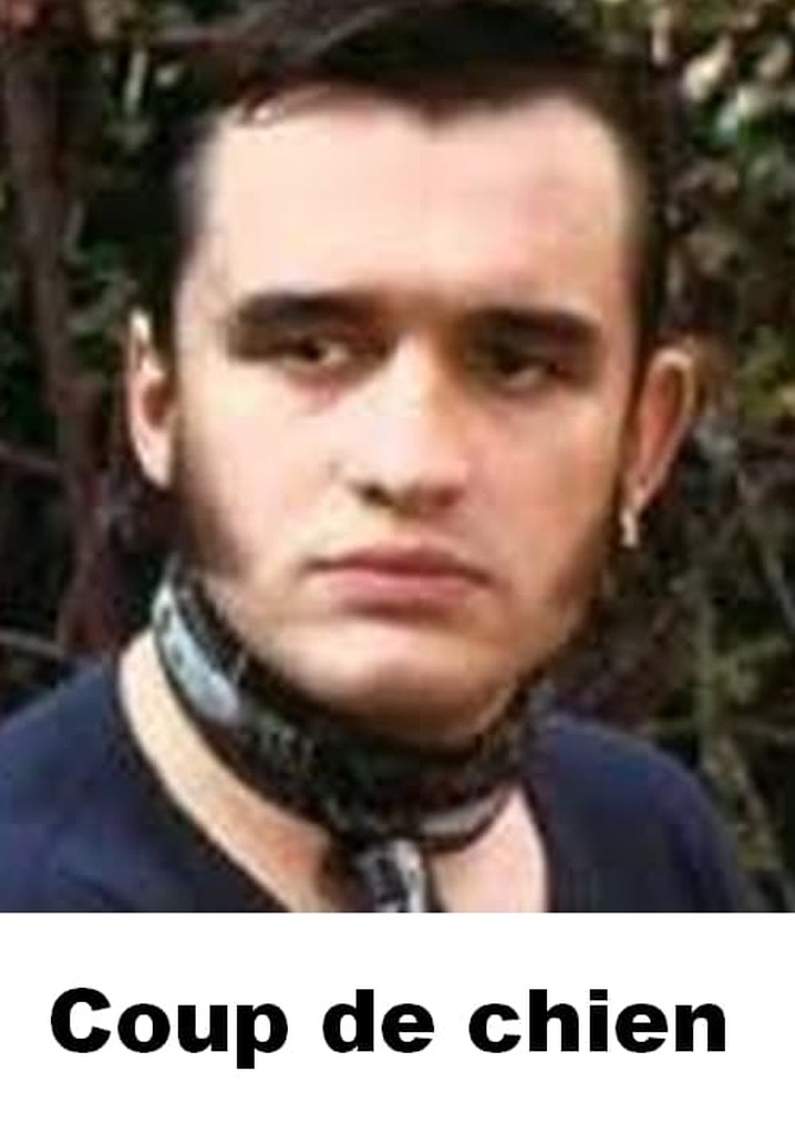 Coup de chien