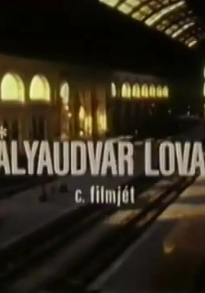 A pályaudvar lovagja