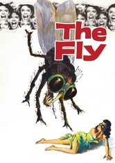 The Fly