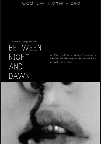 Between Night And Dawn