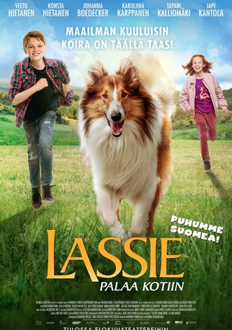 Lassie palaa kotiin