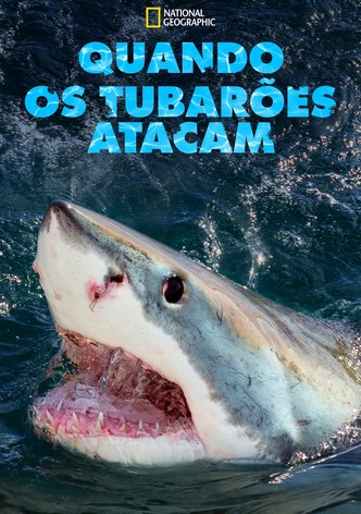Quando os tubarões atacam